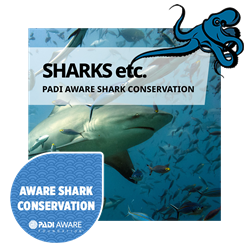 Shark Conservation